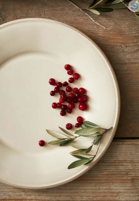 Cecilia Dinner Plate - Ivory *Exclusive to Blu*